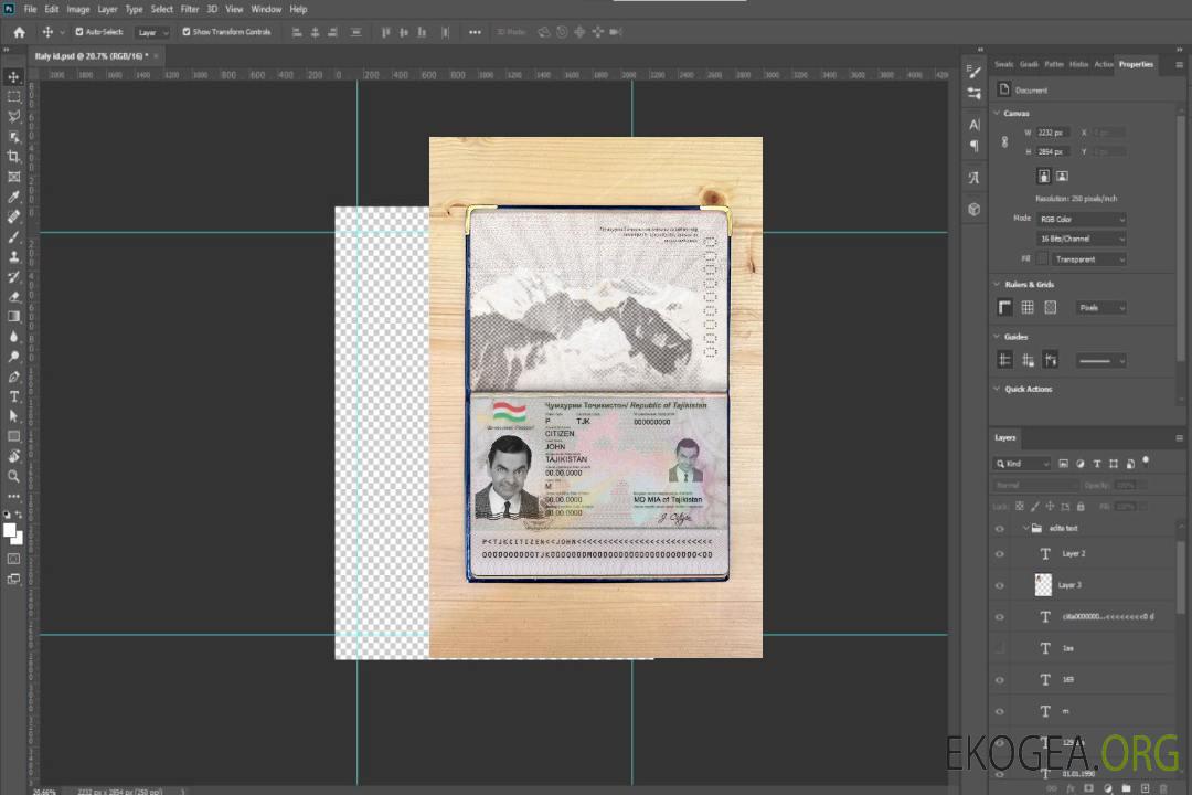 Photo d'identité du Tadjikistan template Photo d'identité du Tadjikistan template